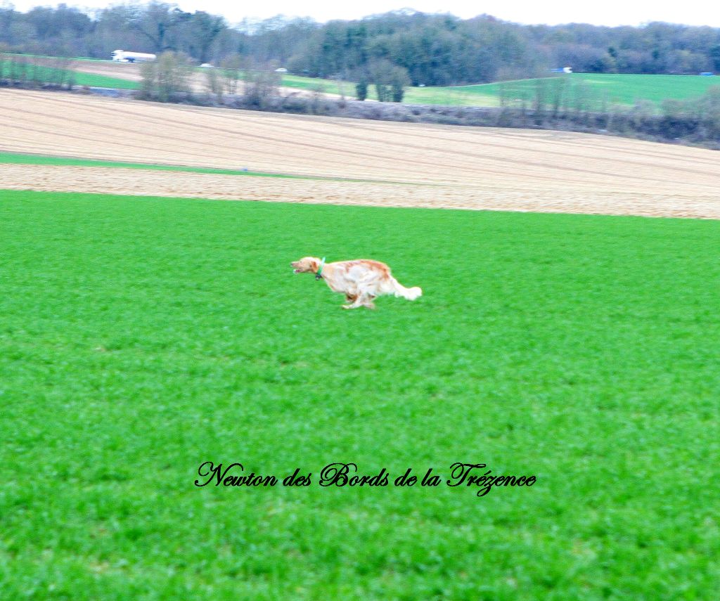 Des Sentiers De La Douyne - Stage en Champagne / Picardie