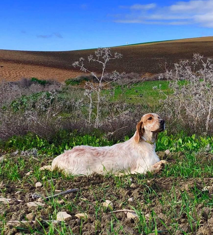 Des Sentiers De La Douyne - ANDALOUSIE 2019