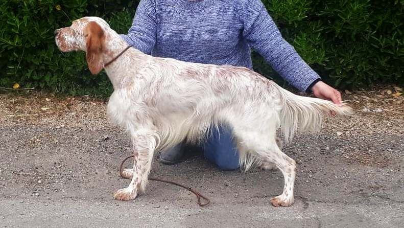 Des Sentiers De La Douyne - Spéciale de Race Monclar de Quercy 21.04.2019