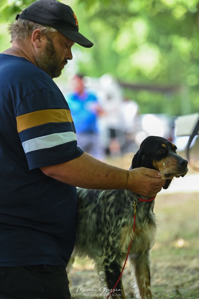 Viraty Des Sentiers De La Douyne
