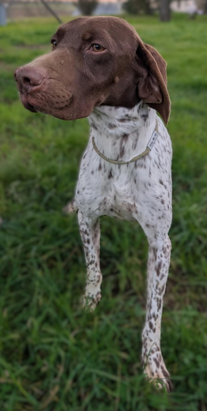 UNO Du Château De Menardiere