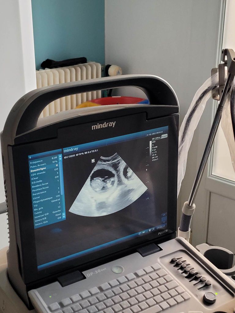 Des Sentiers De La Douyne - Confirmation gestation pour RUBY